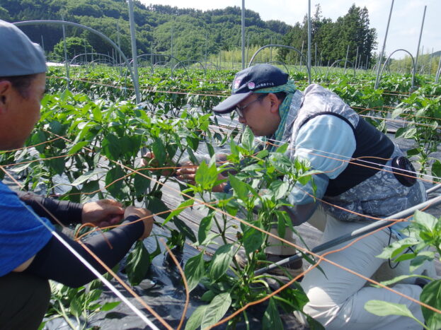 田村地域就農支援プロジェクト