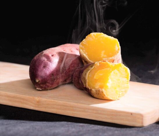 有限会社キモト